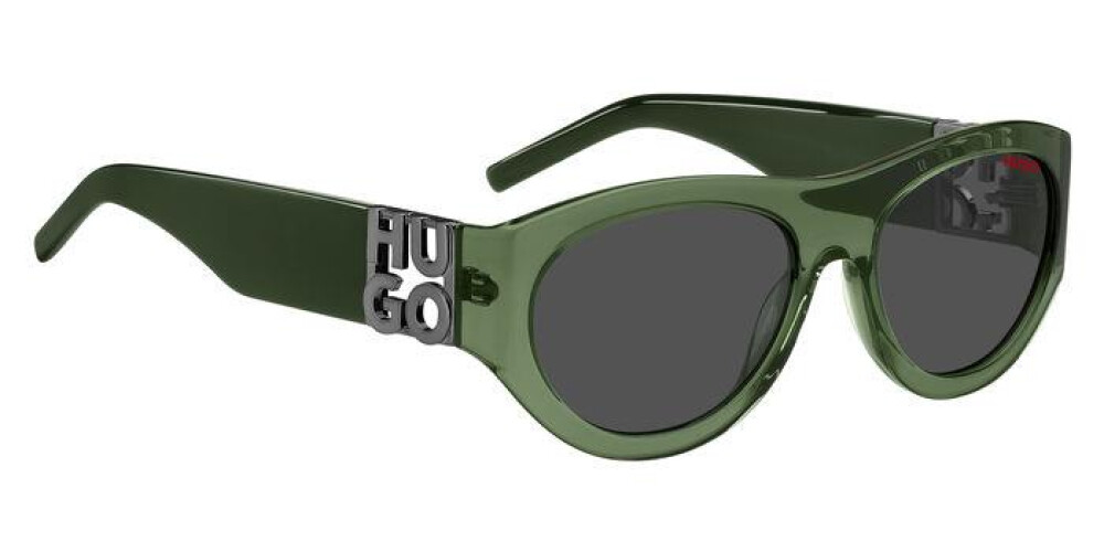 Sunglasses Man Hugo HG 1254/S HUG 206049 1ED IR