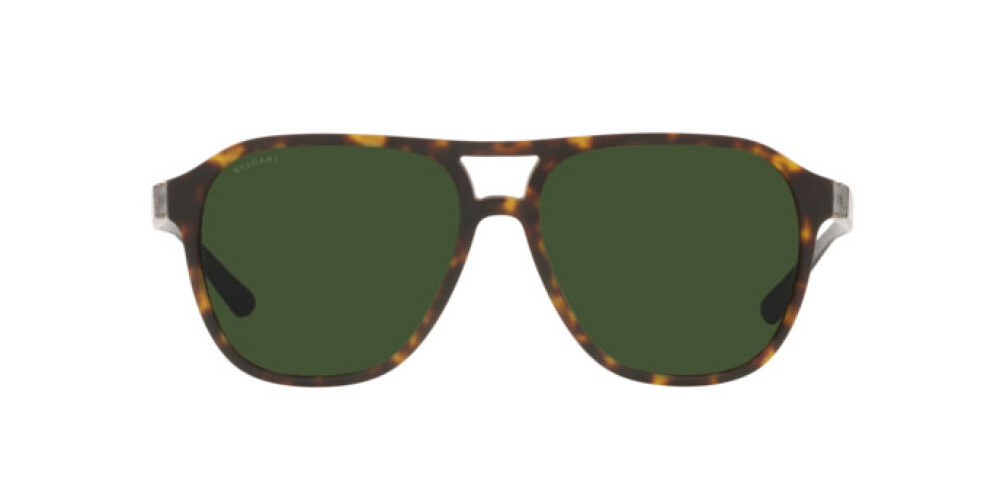 Sunglasses Man Bulgari  BV 7034 5411G6