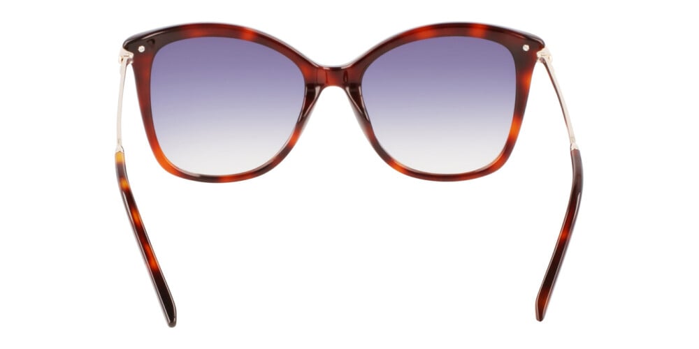 Sunglasses Woman Calvin Klein  CK22514S 220