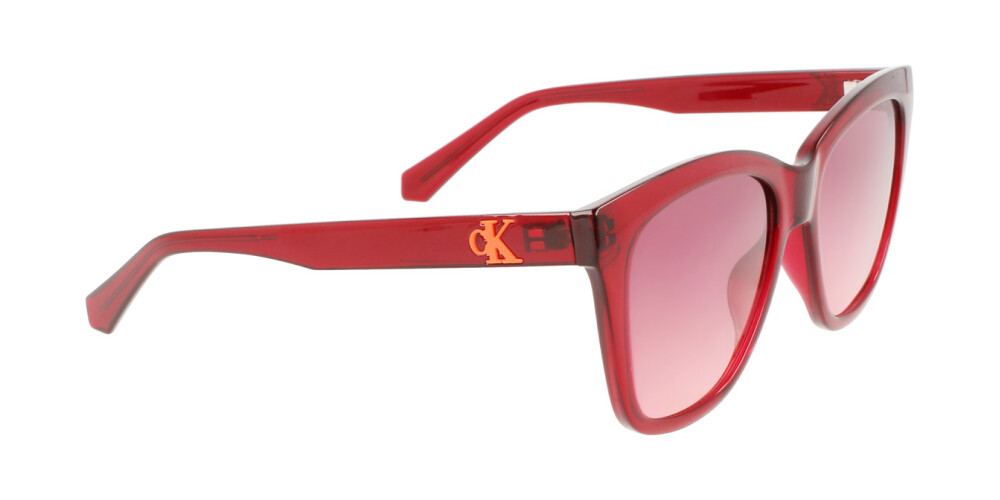 Sunglasses Woman Calvin Klein Jeans  CKJ22608S 679