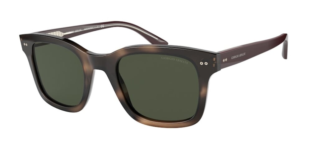 Sunglasses Man Giorgio Armani  AR 8138 573431