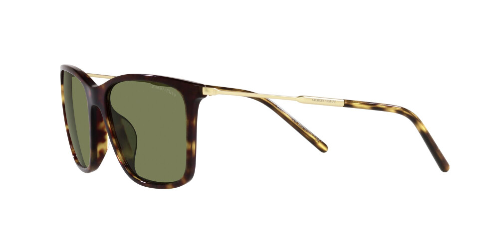 Sunglasses Man Giorgio Armani  AR 8176 50262A