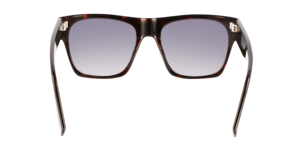 Sunglasses Man Woman Karl Lagerfeld  KL6074S 242