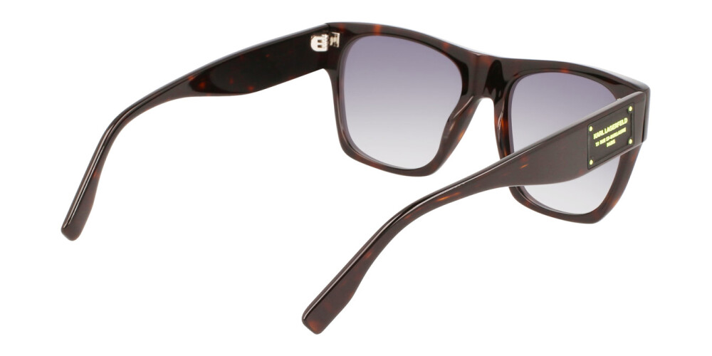 Sunglasses Man Woman Karl Lagerfeld  KL6074S 242