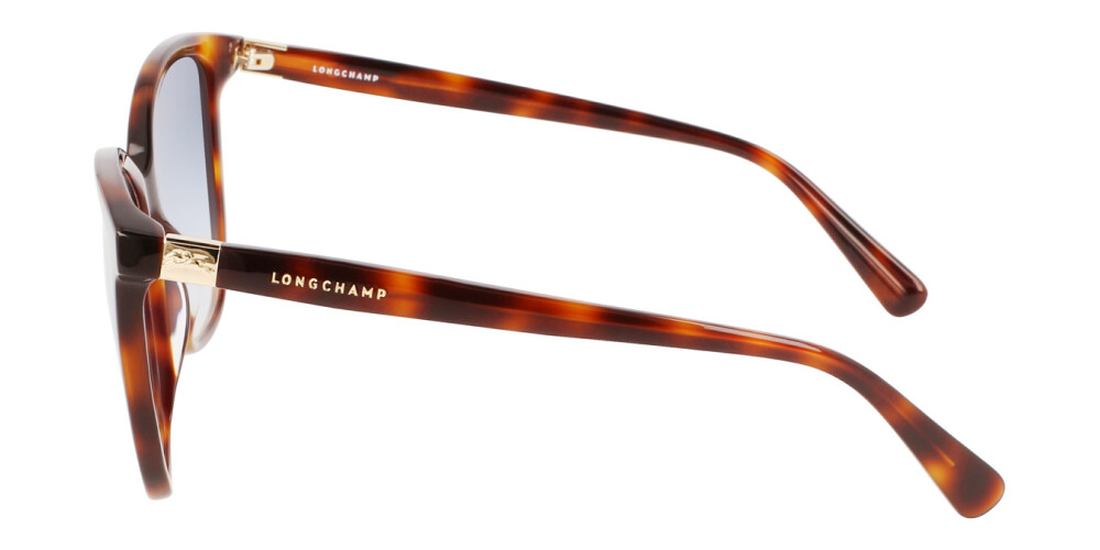 Sunglasses Woman Longchamp  LO708S 230