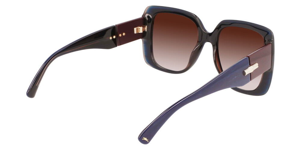 Sunglasses Woman Longchamp  LO713S 403