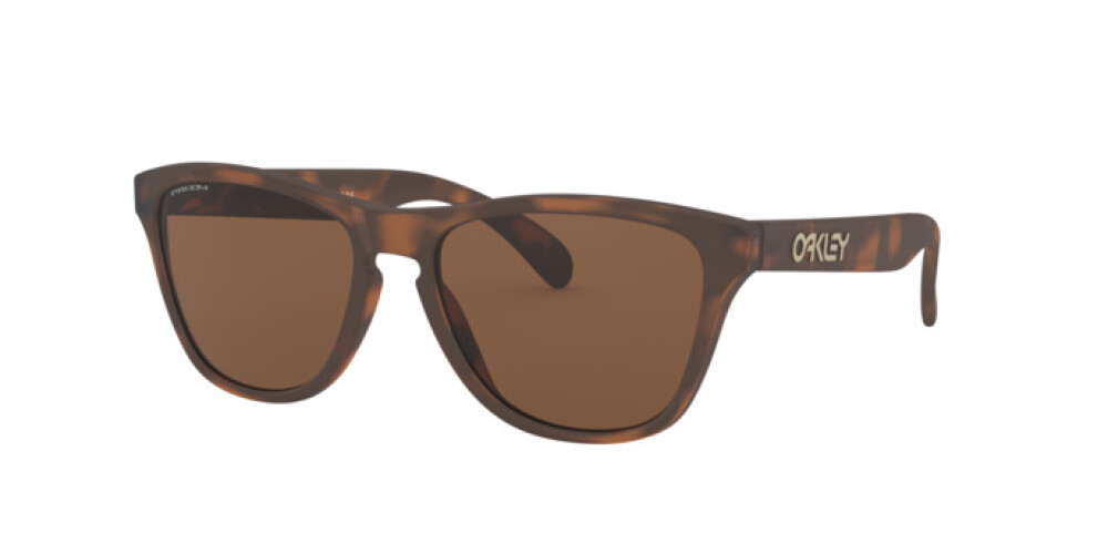 Sunglasses Junior Oakley Frogskins XS Junior OJ 9006 900616