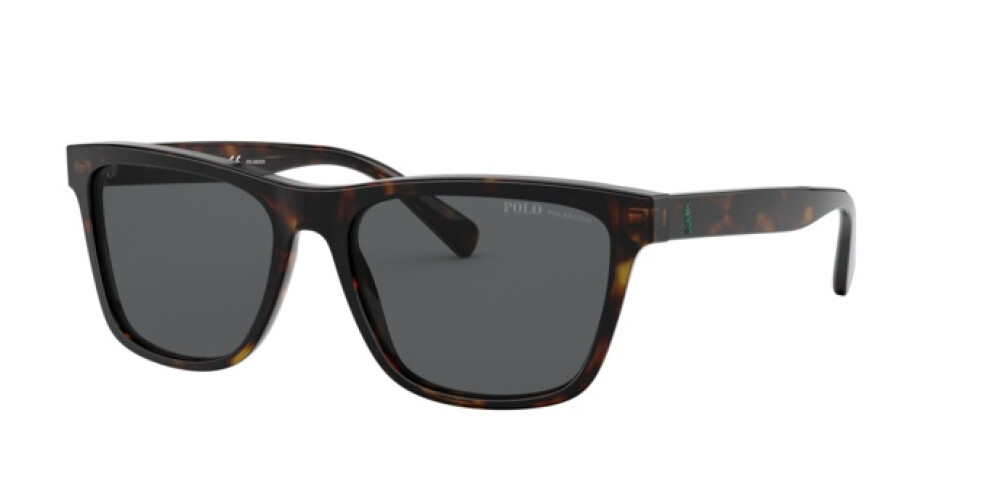 Sunglasses Man Polo Ralph Lauren  PH 4167 500381