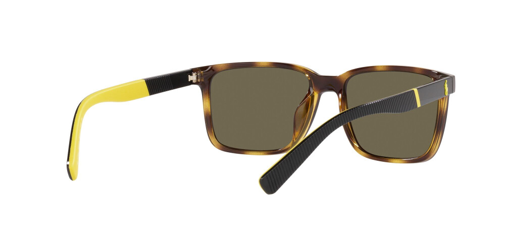Sunglasses Man Polo Ralph Lauren  PH 4189U 5003/3