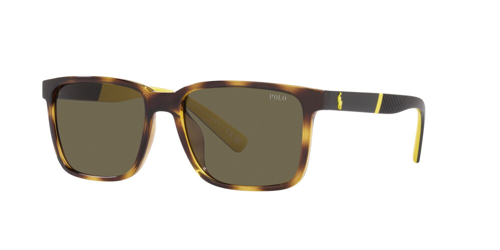 Sunglasses Man Polo Ralph Lauren  PH 4189U 5003/3