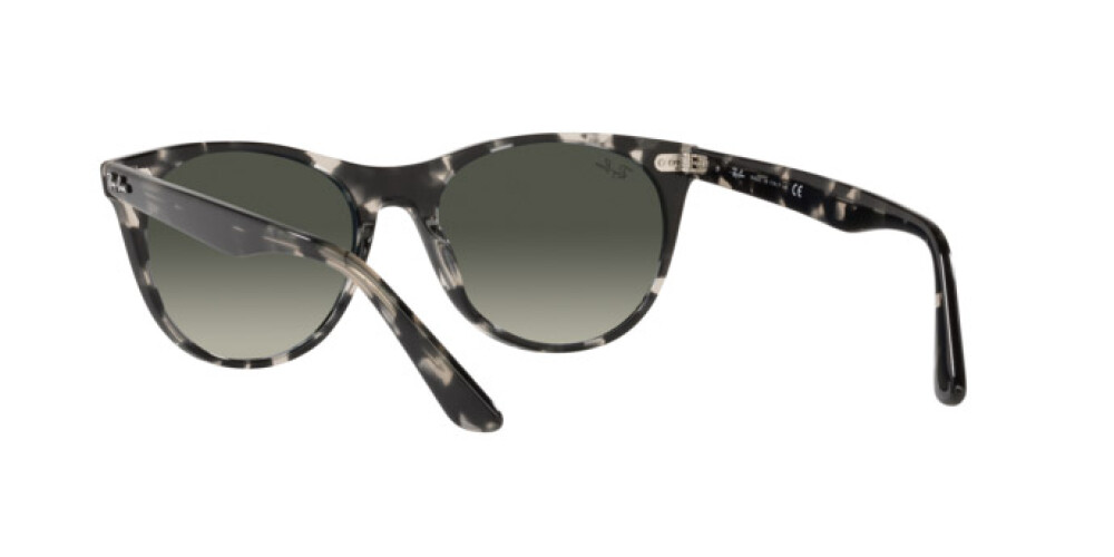 Sunglasses Man Woman Ray-Ban Wayfarer II RB 2185 133371