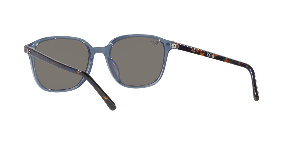 Occhiali da Sole Donna Uomo Ray-Ban Leonard RB 2193 6638O4