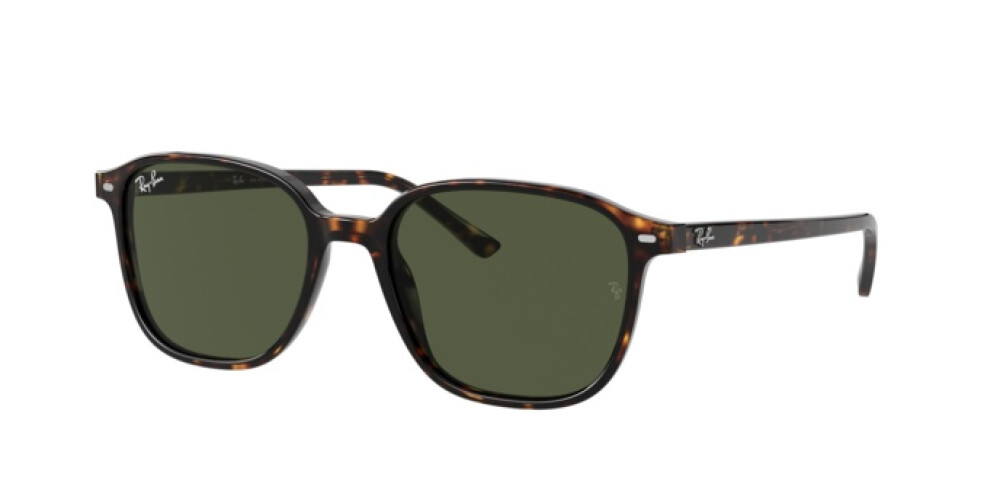 Occhiali da Sole Donna Uomo Ray-Ban Leonard RB 2193 902/31