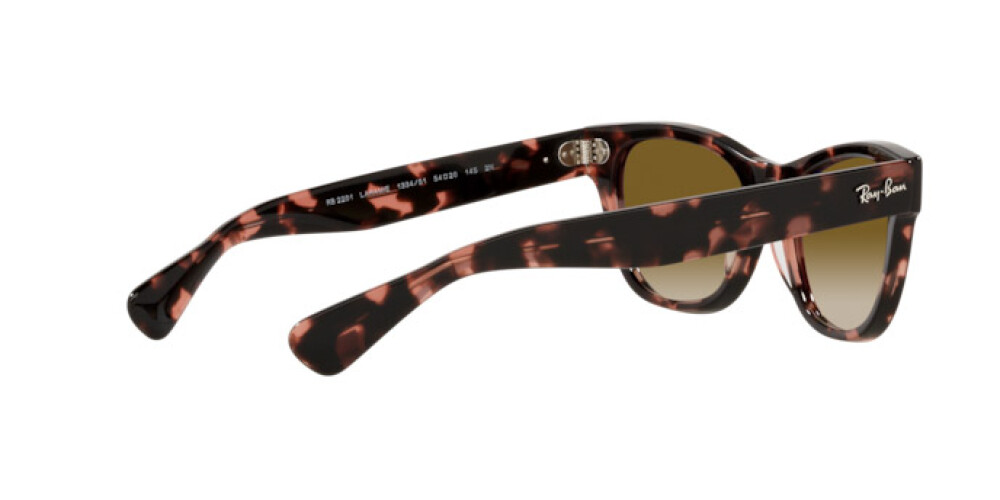 Sunglasses Man Woman Ray-Ban Laramie RB 2201 133451