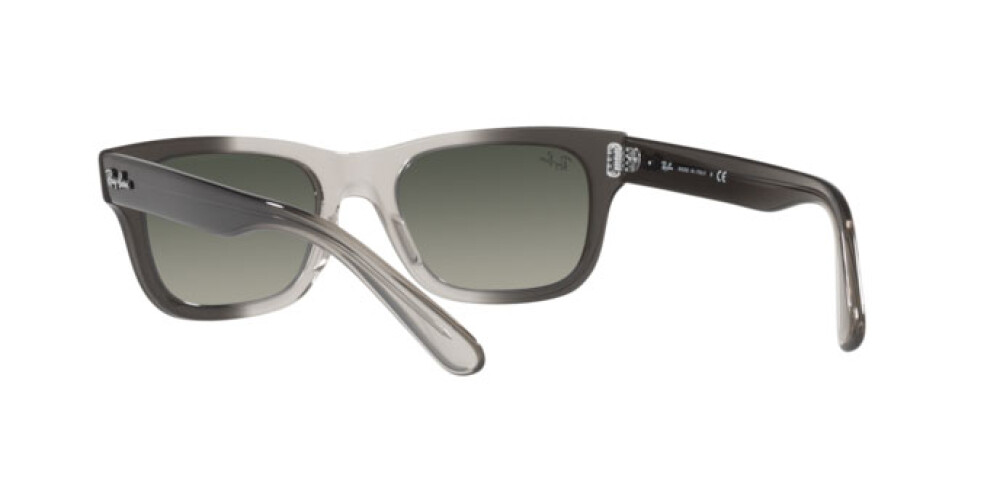 Occhiali da Sole Uomo Ray-Ban Mr burbank RB 2283 134071