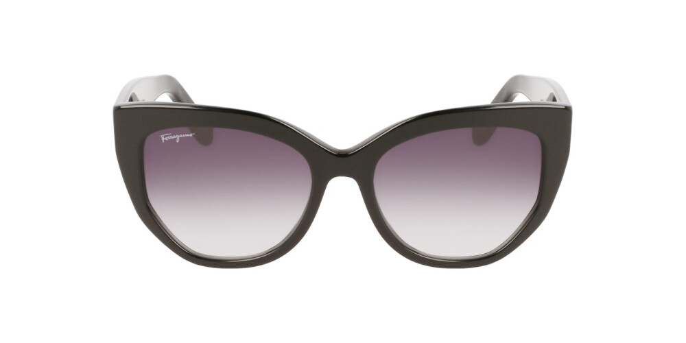 Sunglasses Woman Salvatore Ferragamo  SF1061S 001