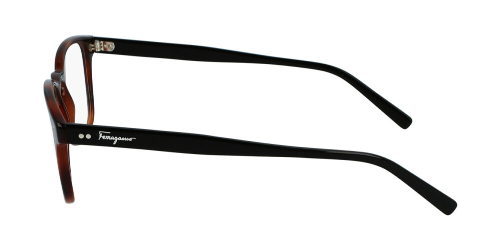 Eyeglasses Man Salvatore Ferragamo  SF2913 241