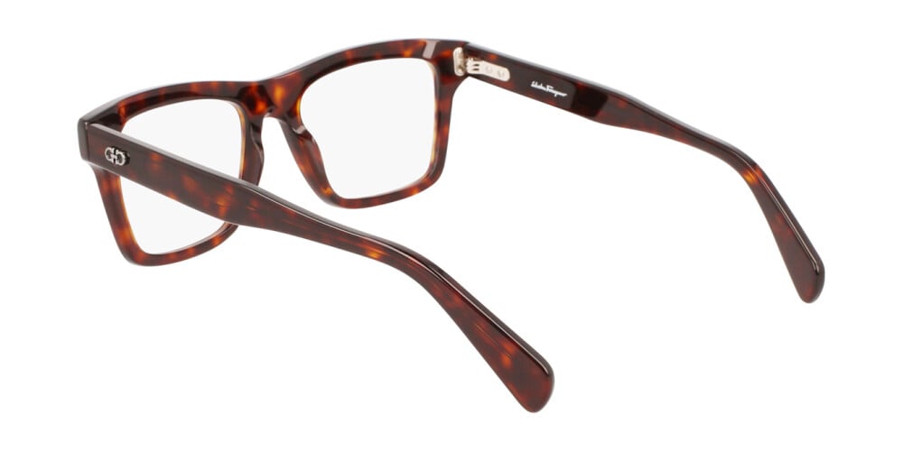 Eyeglasses Man Salvatore Ferragamo  SF2923 219