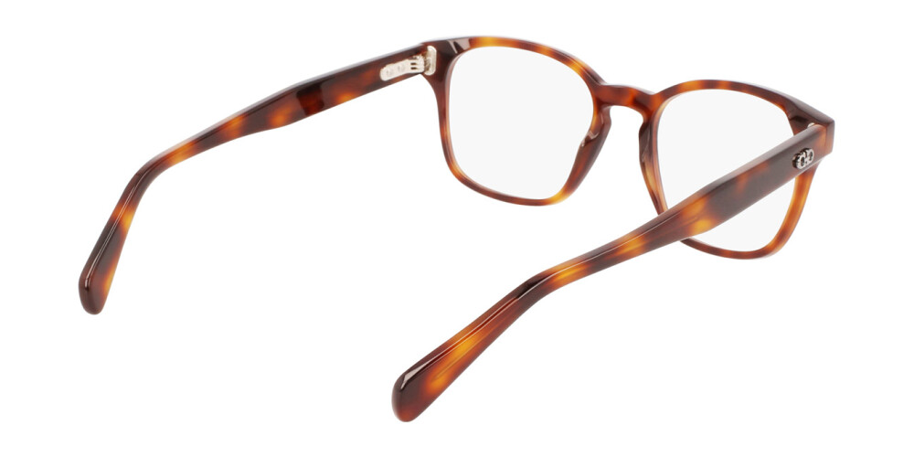 Eyeglasses Man Salvatore Ferragamo  SF2925 214