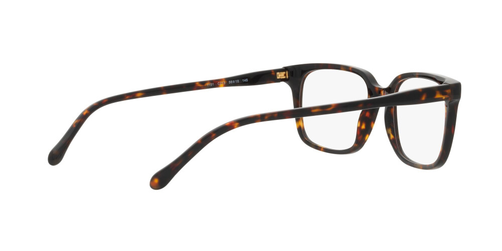Eyeglasses Man Sferoflex  SF 1151 C213