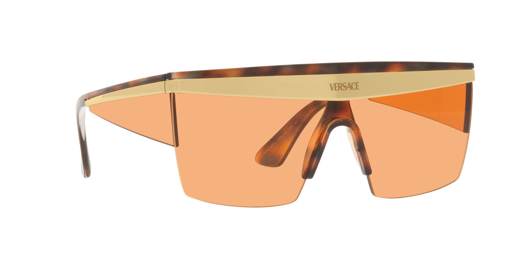 Sunglasses Man Versace  VE 2254 100274