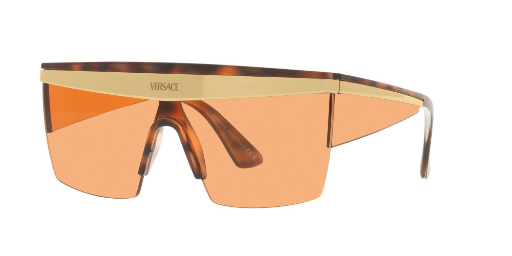 Sunglasses Man Versace  VE 2254 100274