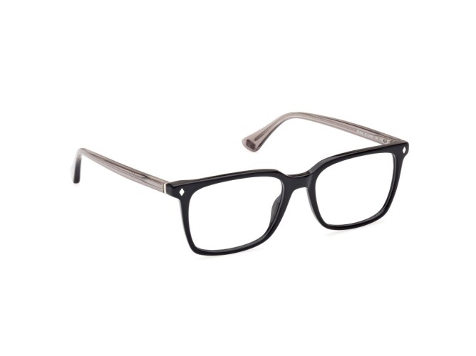 Eyeglasses Man Web  WE5401 001