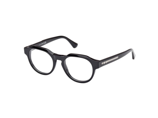 Eyeglasses Man Woman Web  WE5421 005