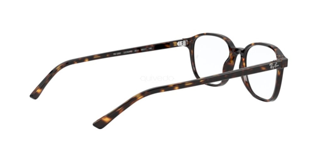 Eyeglasses Unisex Ray-Ban Leonard RX 5393 2012