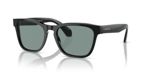 Giorgio Armani AR 8155 (587556)