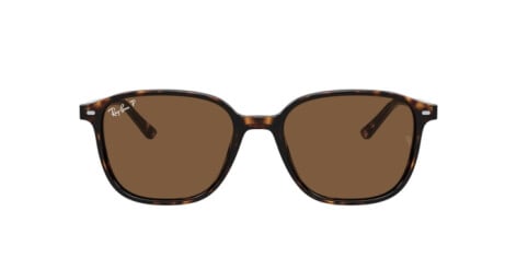 Ray-Ban Leonard RB 2193 (902/57)