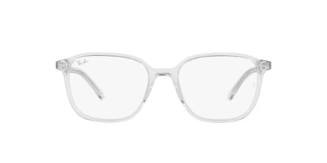 Ray-Ban Leonard RB 2193 (912/GH)