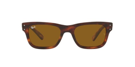 Ray-Ban Mr burbank RB 2283 (954/33)