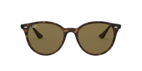 Ray-Ban RB 4305 (710/73)