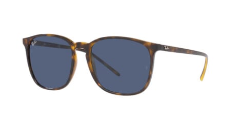 Ray-Ban RB 4387 (710/80)