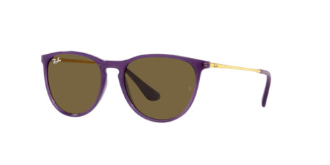 Ray-Ban Junior Erika RJ 9060S (713173)