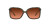 Oakley Wildrye OO 9230 (923004)