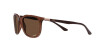 Ray-Ban RB 4386 (6652AN)