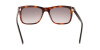 Calvin Klein CK22519S (236)