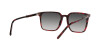 Dolce & Gabbana DG 4424 (33588G)