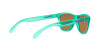 Oakley Frogskins Xs OJ 9006 (900630)