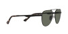 Persol PO 1003S (115158)