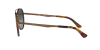 Persol PO 2456S (1081Q8)