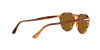 Persol PO 3286S (115733)