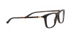 Ralph Lauren RL 6202 (5003)