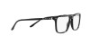 Ralph Lauren RL 6220 (5001)