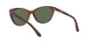 Ralph Lauren RL 8186 (500771)