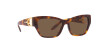 Ralph Lauren RL 8206U (530373)