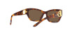 Ralph Lauren RL 8206U (530373)