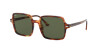 Ray-Ban Square ii RB 1973 (954/31)